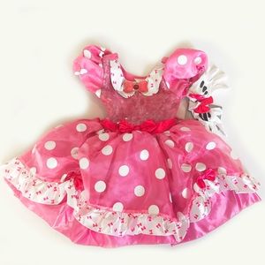 NWT Disney Princess Dress Costume